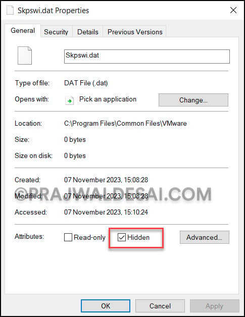 Turn on Hidden attribute for Skpswi.dat file