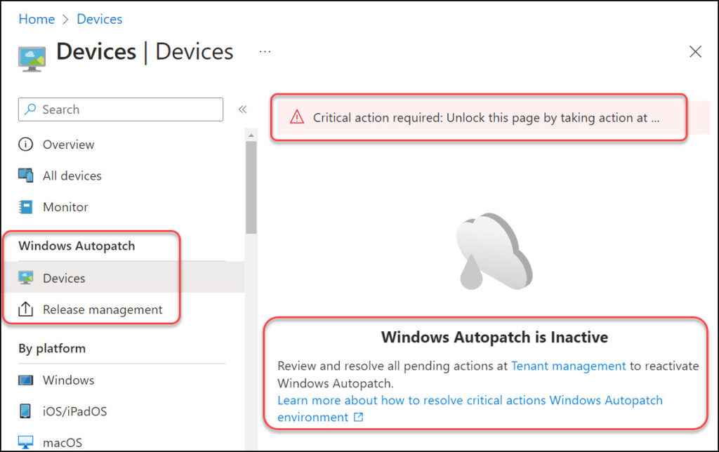 Fix Windows Autopatch is Inactive Error: 2 Proven Solutions 1 Windows Autopatch is Inactive Error