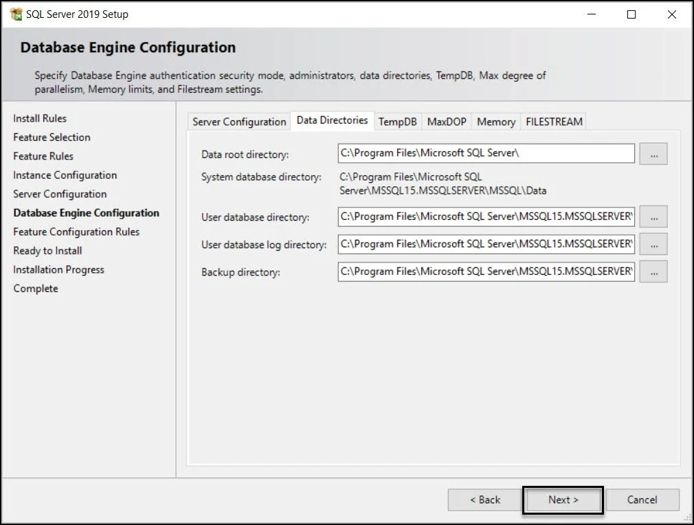 Install SQL Server 2019 for ConfigMgr - Bonus Guide 8 SQL Server Data Directories